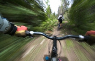  Acelera a través de nuestro bosque circundante